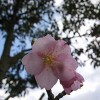今日から３月。